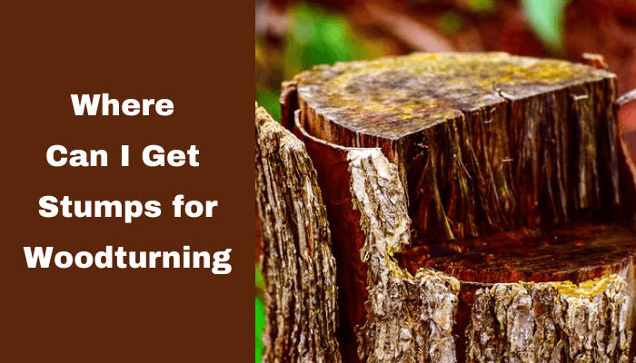 Where Can I Get Stumps for Woodturning?