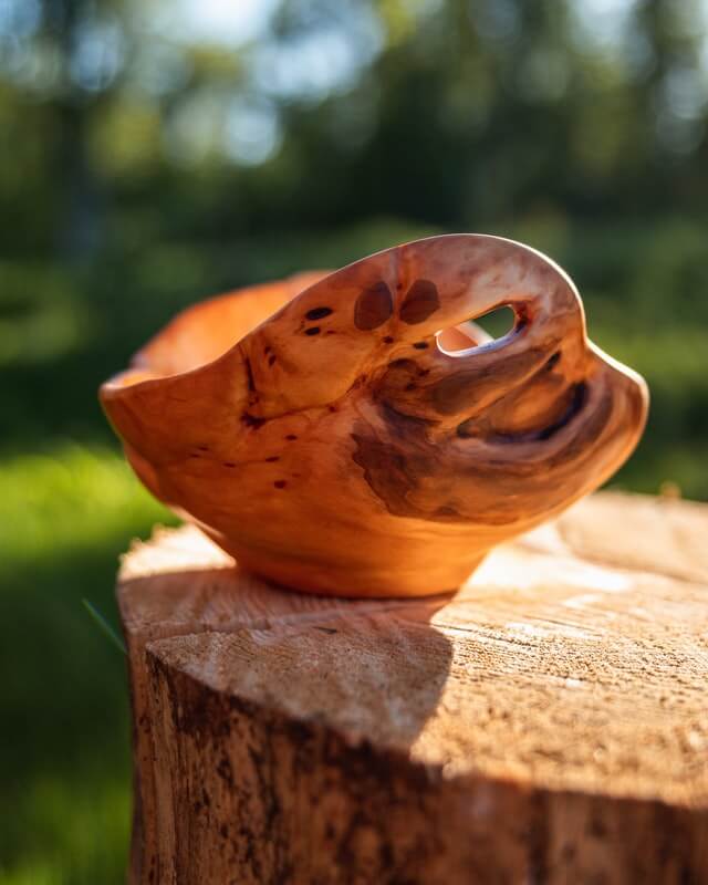 wooden bowl made from tree stump